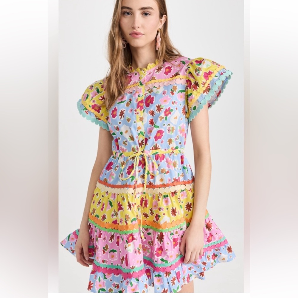 Celia B Aventurine Mini Dress with Tie Multicolor Flutter Sleeves